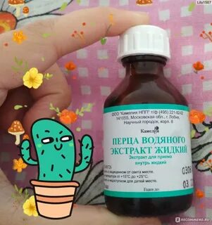 Водный экстракт кроссворд