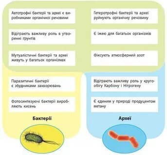 Что такое археи в биологии