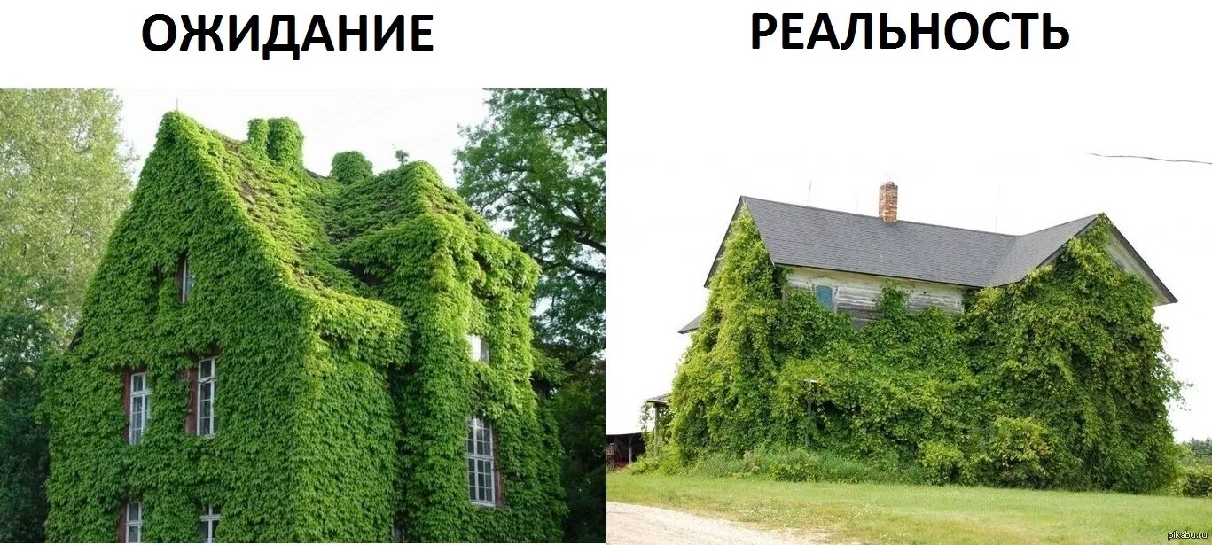 Защита проекта прикол. Проект ожидание и реальность. Ожидание и реальность приколы. Разработка ожидание реальность. Дом ожидание реальность.