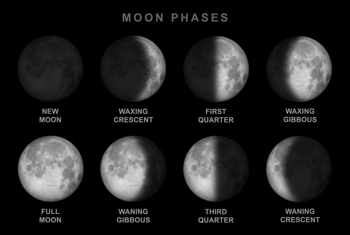 Фаза луны сегодня 2024 год март какая. Фазы Луны. First Quarter Луна. Фазы Луны phases of the Moon. Фазы Луны на английском.