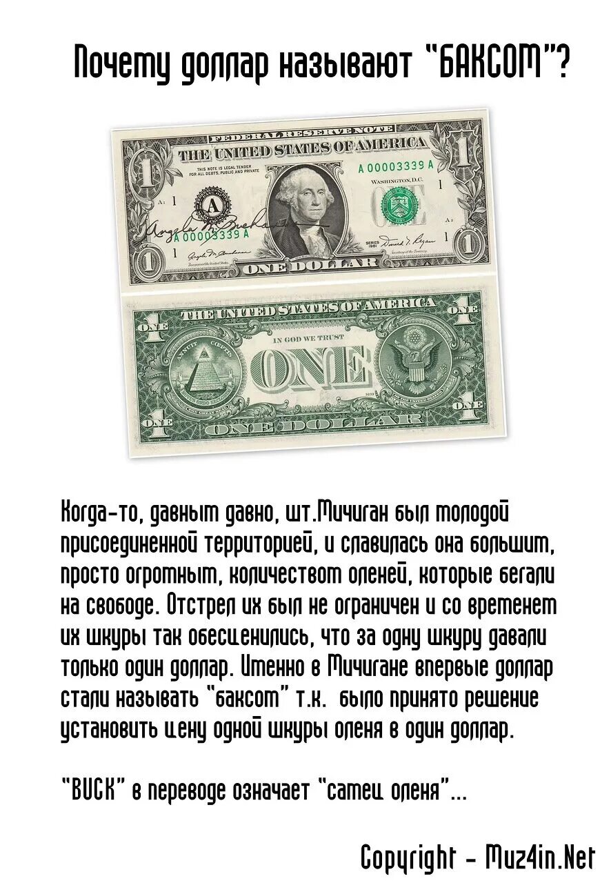 Почему 1 доллар. Интересные факты о долларе. Интересное о деньгах. Почему доллар называется долларом. Интересные факты о деньгах.