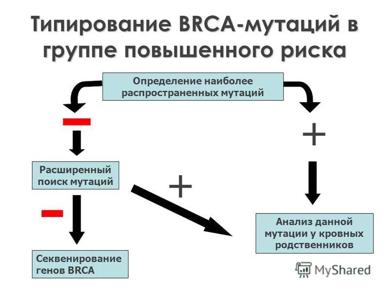 Генетические основы эволюции. Методы днк диагностики заболеваний. Методы выявления генных мутаций. Методы анализа мутаций. Метод диагностики генных мутаций.
