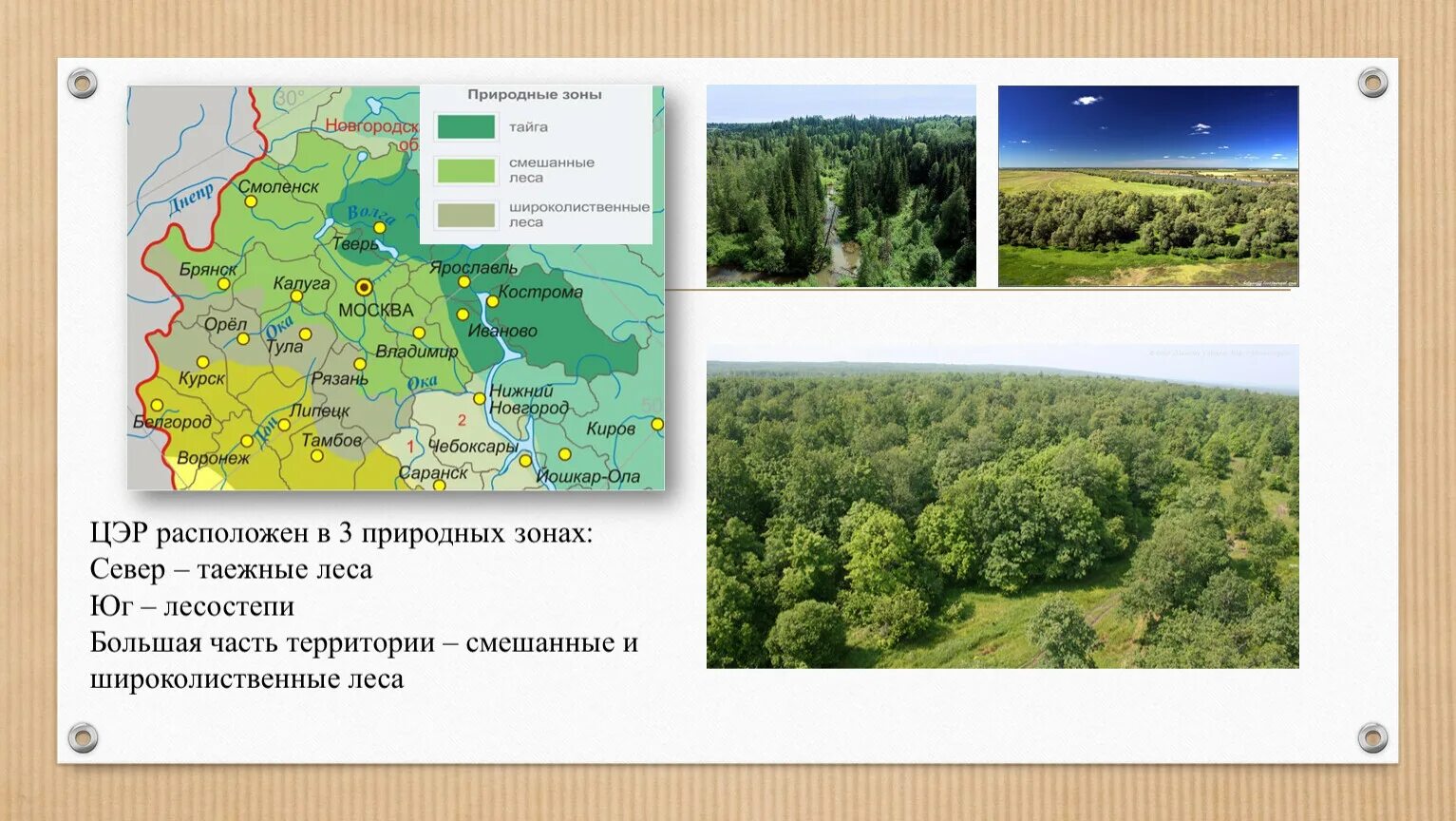 Природные зоны центрального экономического района России. Природные зоны ЦЭР. Природные зоны центральной России на карте. Природные зоны Центрально Черноземного района России. Рельеф где расположен природный комплекс