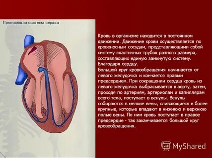 Благодаря сердцу