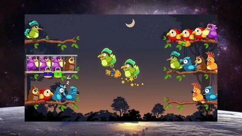 Bird игра