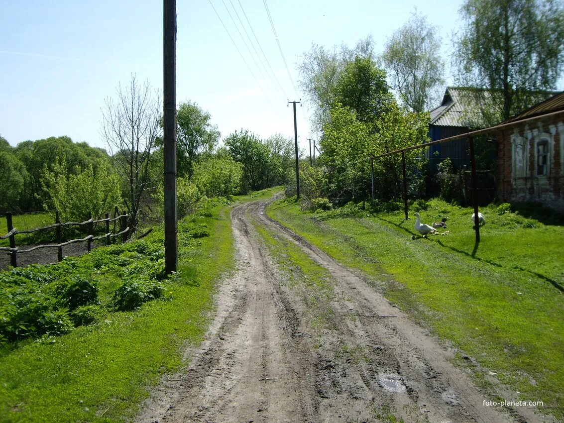 Каменка Обоянский район Курская область. Село Каменка Курская область. Село Каменка Обоянский район Курская область. Обоянский район село Каменка.