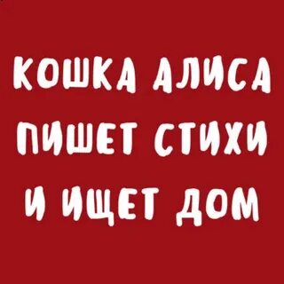 Алиса ну напиши