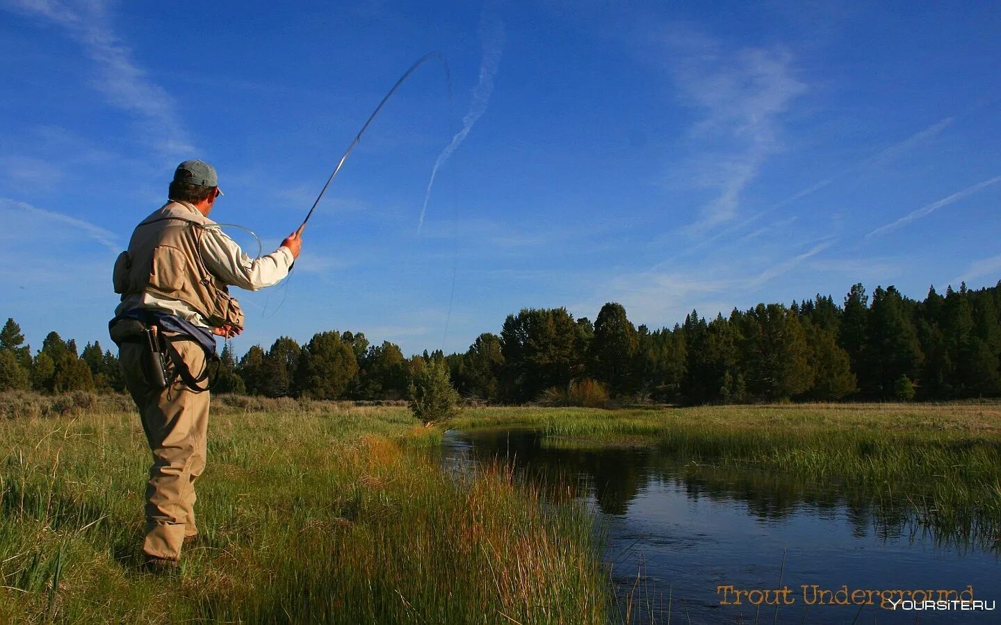 Рыбалка доброград. Рыбалка. Располагаемся с удочками. Располагаемся с удочками. Нахлыст рыбалка.