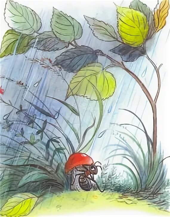 сказка сутеева под грибом. муравей из сказки сутеева. сказка сутеева под грибом. сутеев под грибом иллюстрации. сказка сутеева под грибом.