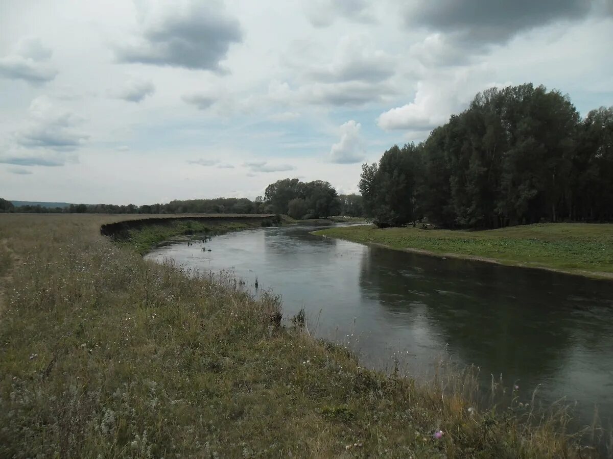 дёма река реки башкортостана. река дема альшеевский район. истоки реки дема. дема северный. музей заповедник аксакова в оренбургской области.