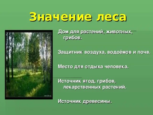 Защитник воздуха водоёмов и почв. Лес дом для растений животных грибов. Домик для растений животных защитник воздуха водоемов. Лес защитник воздуха водоемов и почв.