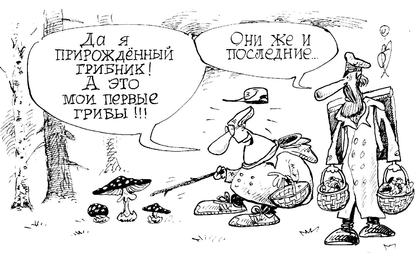 грибники приколы. шутки про сбор грибов. прикольный грибник. грибы прикол. грибники приколы.