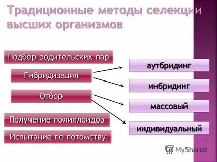 Традиционные методы отбора