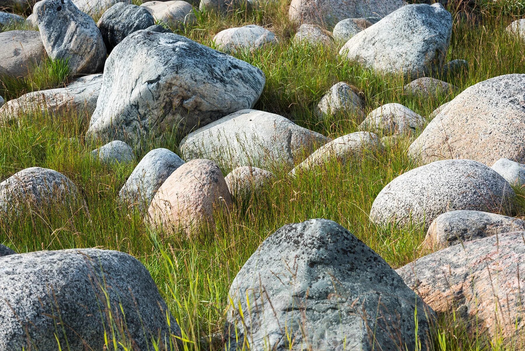 Stone photo. Валуны. Камень валун. Камни в траве. Камень булыжник.