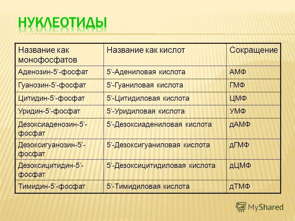 Муж имена русские. Как называется нп. Корень часть слова. Как называется нп. Как называют жителей городов.