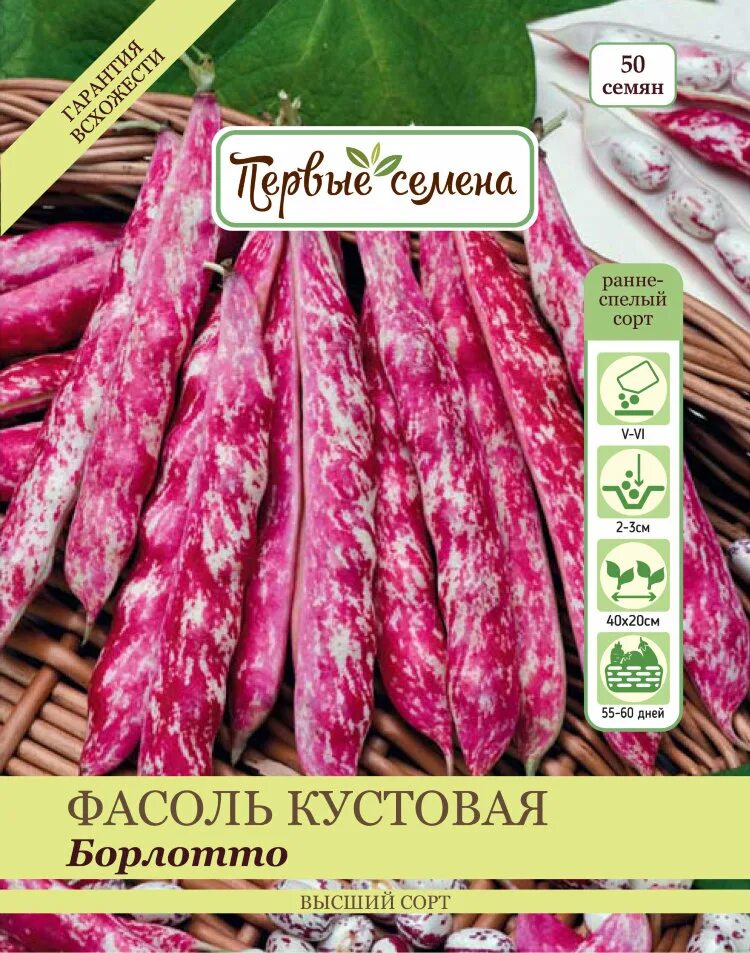 Фасоль кустовая сорта. Фасоль кустовая борлотто. фасоль сорт борлотто. семена фасоль борлотто.