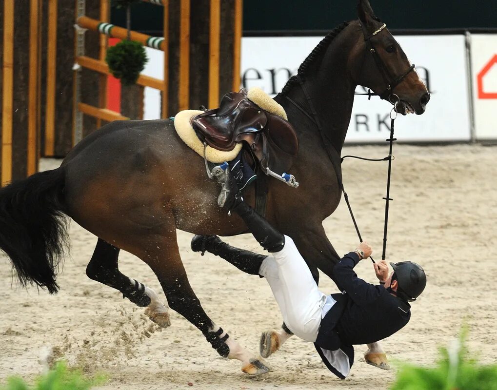 Гонит всадник коня держится за поводья смотрит. Конный спорт падения. Падение с лошади. Человек падает с лошади.