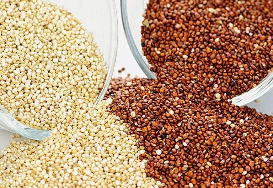 Смесь семян для салатов. Пажитник сенной шамбала. Зерен добавить. Зерно кукурузы фото сверху. Кофейные зерна.