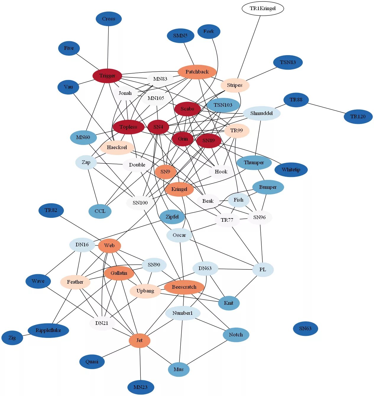 Data network analysis