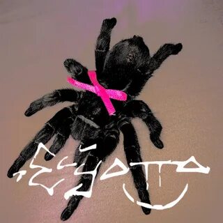 Elyotto