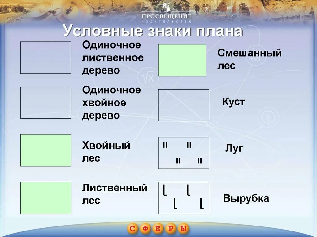 Знаки географа. Смешанный лес обозначение на топографической карте. Географические знаки. Условные знаки география. Знаки географических карт.