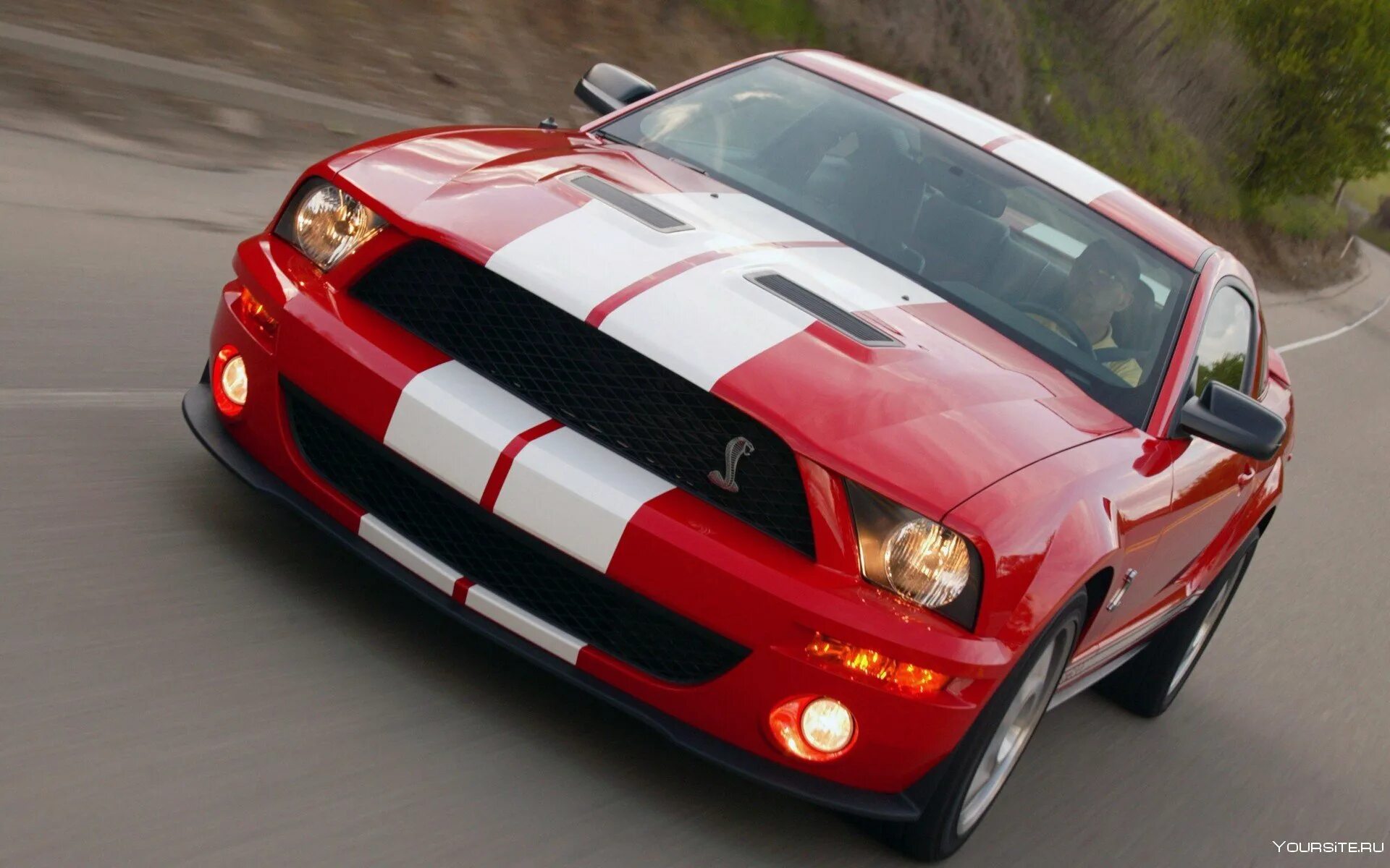 Mustang cobra. Форд Мустанг Шелби Кобра. Форд Мустанг Кобра gt500. Форд Мустанг ГТ 500 Кобра. Ford Shelby Cobra gt500.