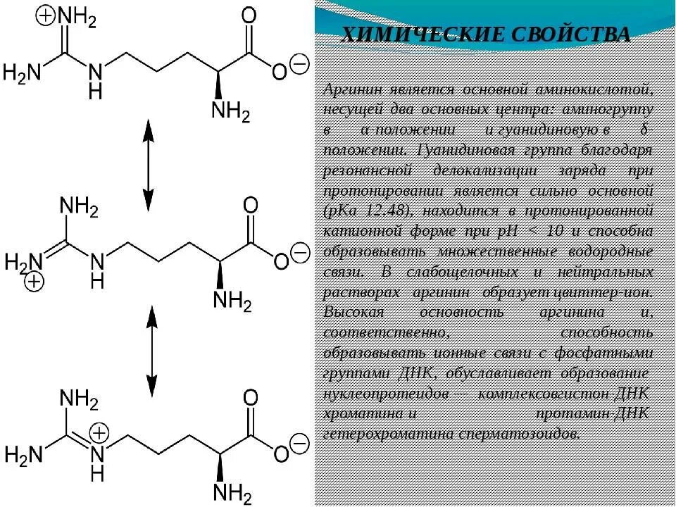 Как правильно принимать аргинин. Аргинин структура. Аргинин строение химическое. Аргинин формула. Аминокислота аргинин химическое строение.