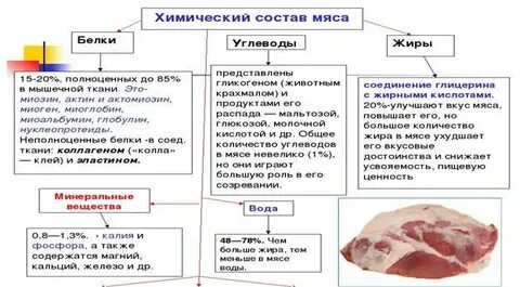 Биологическая ценность мяса