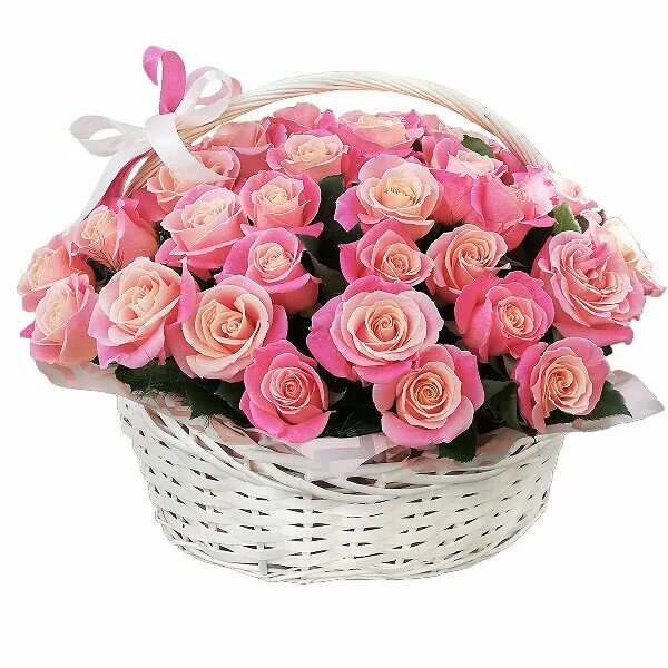 Курганинск 76 квартал дом 29. Розы люксембург 195. Пятерочка ул максима горького 22а. Курганная 227 майкоп. 15 красных роз эквадор.