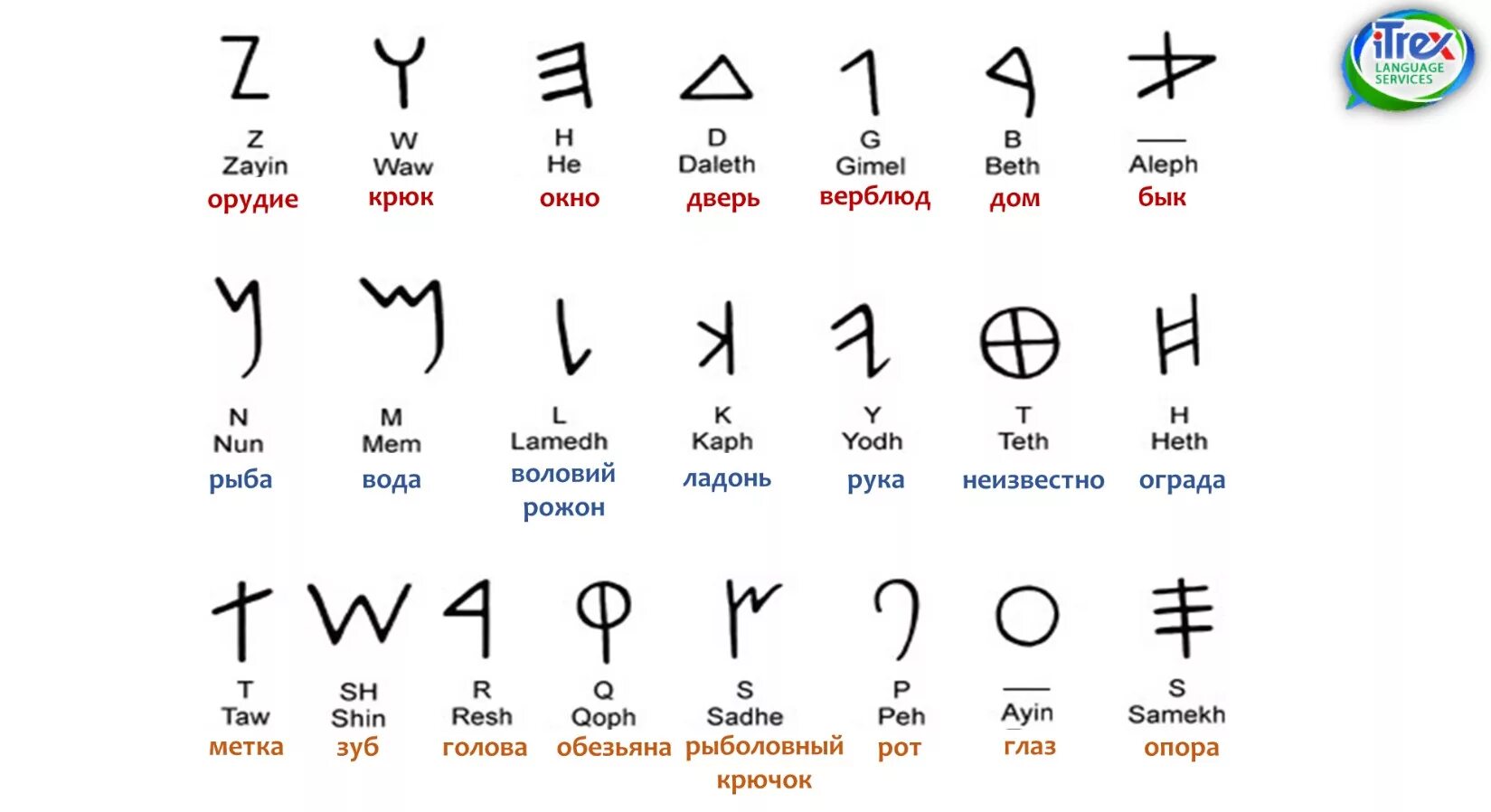 Древний перевод на английский. Древний греческий алфавит. Латинские знаки и символы. Как выглядят латинские символы. Древние латинские символы.