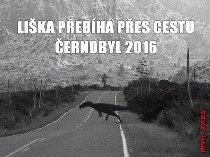Заяц через дорогу