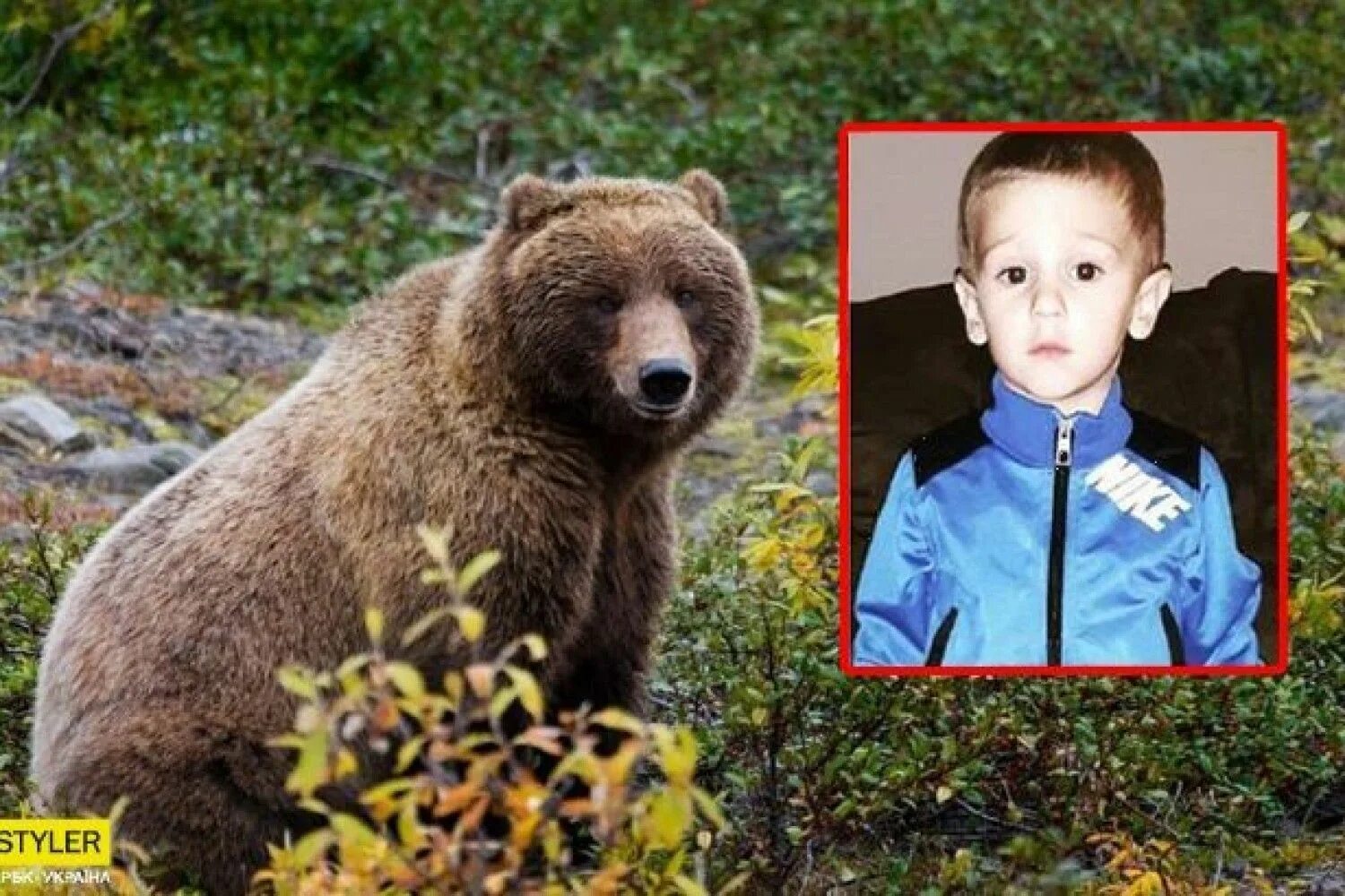 Девочку спас медведь. Мальчик и медведь. мальчик в лесу с медведем. медвежонок потерялся в лесу. медведь для детей.