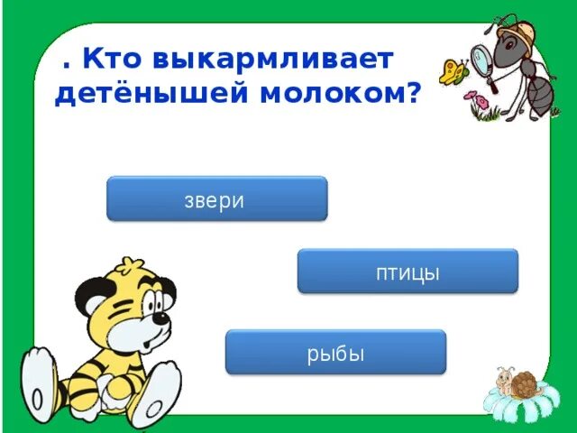 Кто выкармливает детенышей молоком. Кто рождает живых детенышей. Выкармливает детенышей молоком ответ. Кто рождает живых детёнышей и выкармливает их молоком. Рождает детенышей и выкармливает их молоком