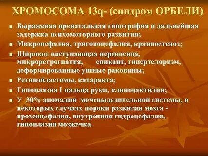 13 хромосома
