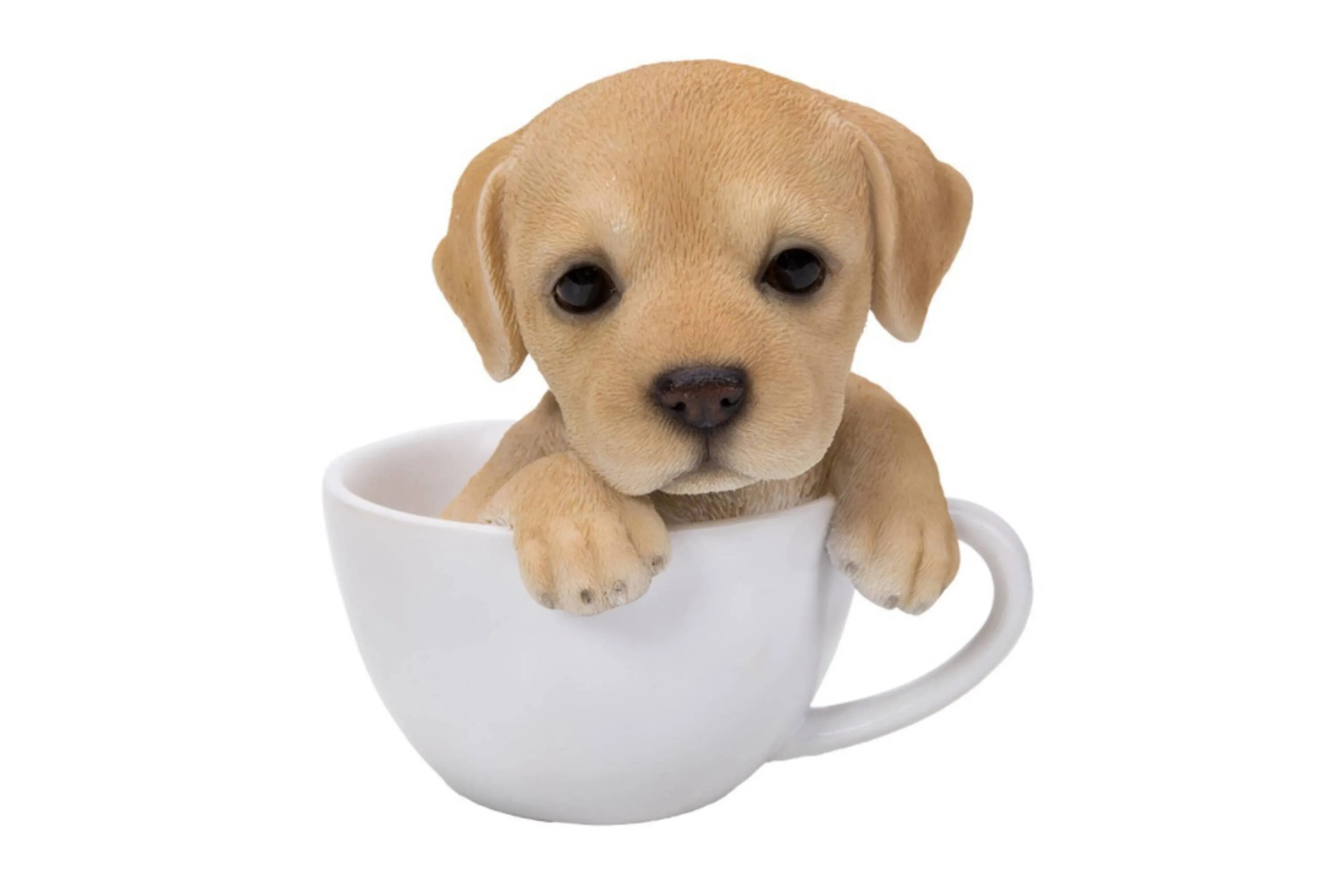 Dogs cup. Фигурка. Лабрадор, щенок. Собака в кружке. Чашки для собак. Собачки в кружках.