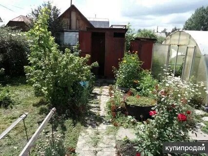 Свежие объявления сады