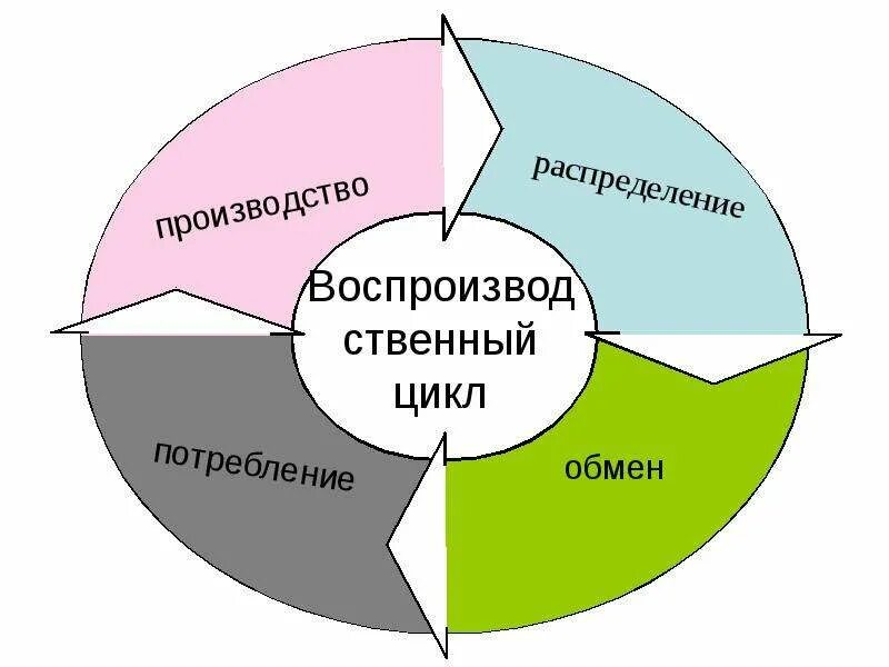 Система производства распределения и потребления. Воспроизводственный цикл. стадии воспроизводственного процесса. цикл воспроизводства в экономике. воспроизводственный цикл в экономике.