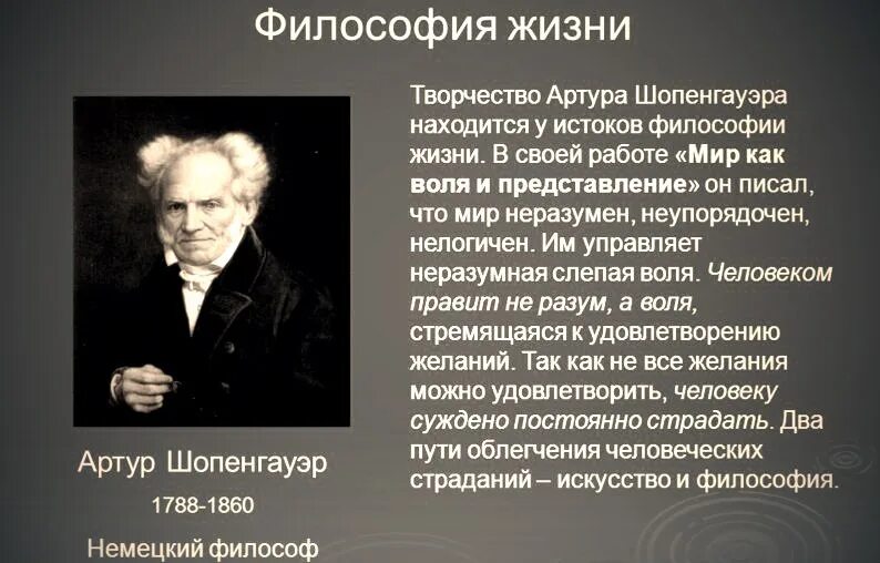 Философия Шопенгауэра. Философия жизни Шопенгауэр. Воля к жизни шопенгауэра