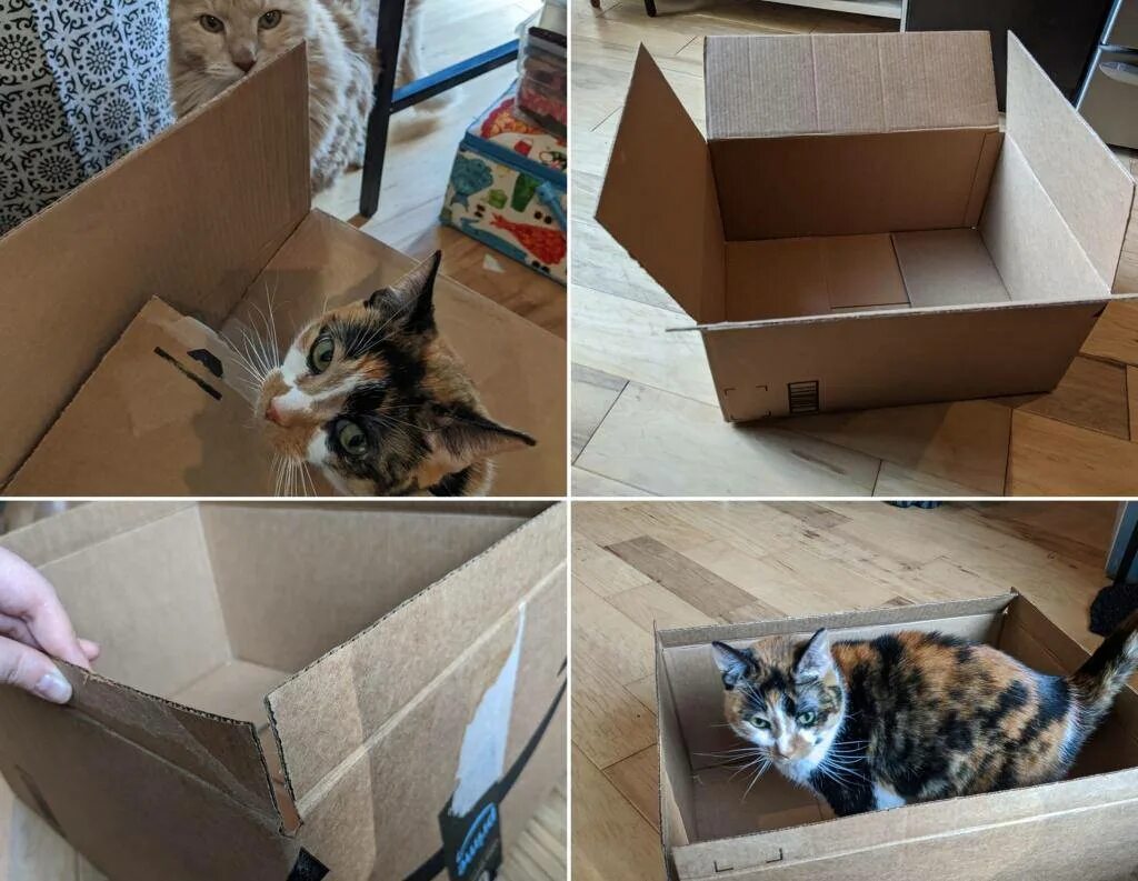 Как сделать кошку коробку