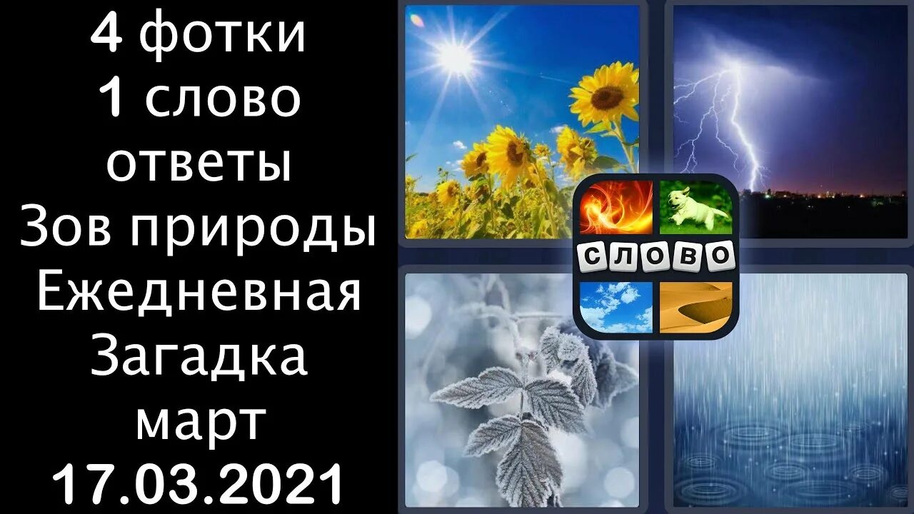 4 слова 10 уровень