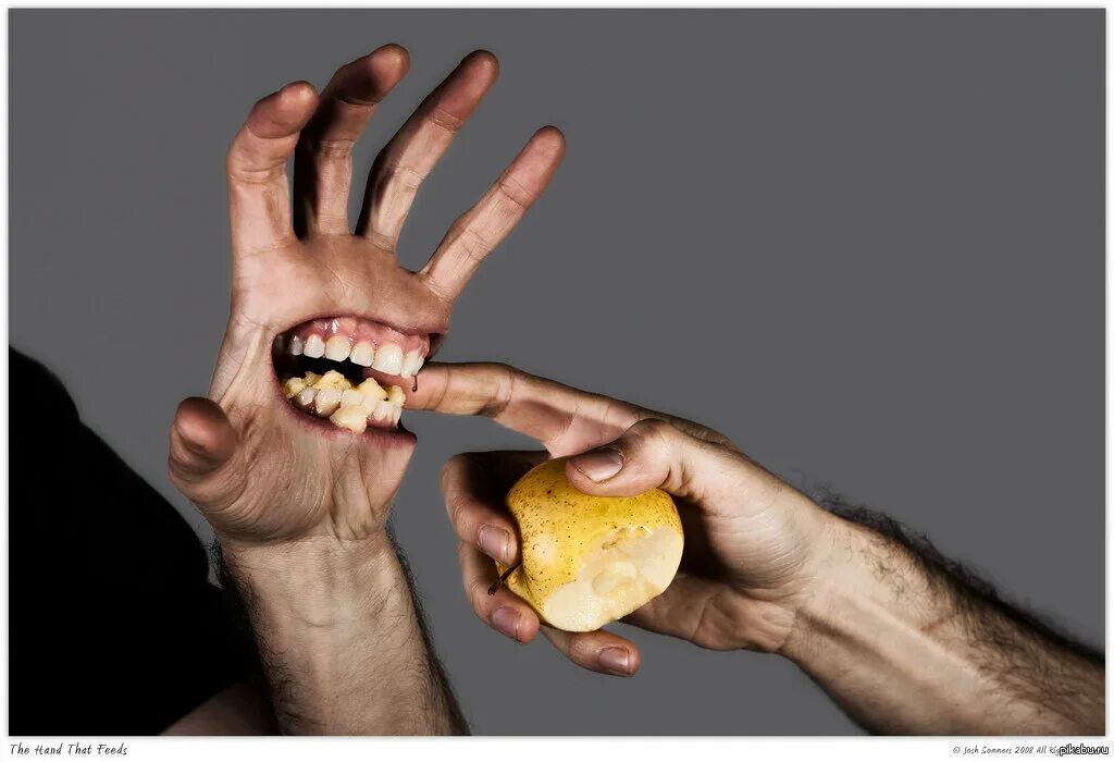 I bite at the hand that feeds