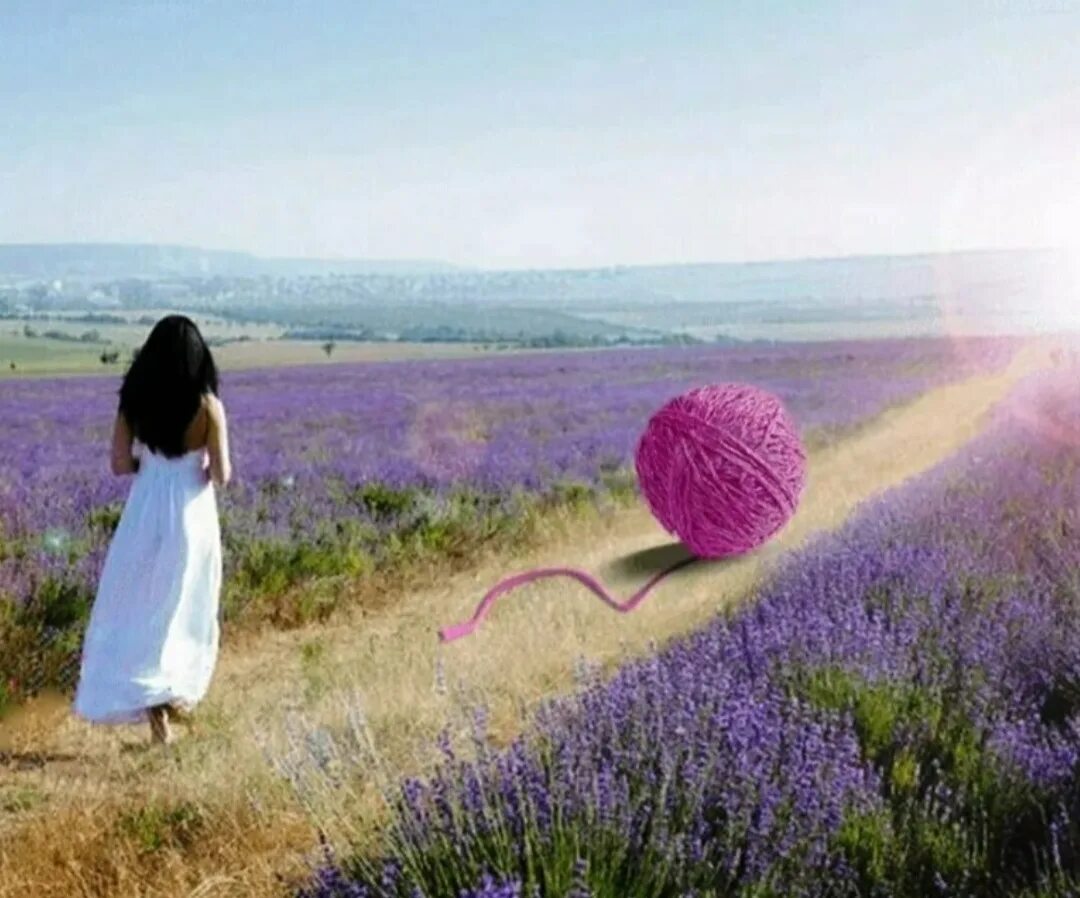 Человек и много дорог. Профессиональная самореализация. Выбор человека. Осознать призвание. Человек на вершине.