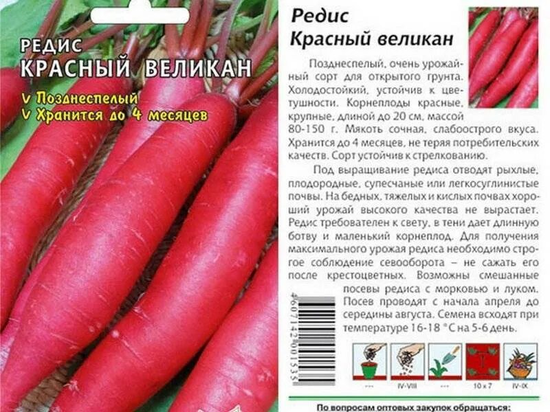 Какие семена редиски. Дайкон красный великан. Редис красный великан длинный 2гр Plant. Редис красный великан описание. Сорт редиса красный великан описание.