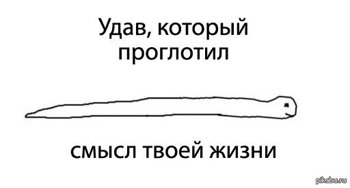 В чём смысл жизни мемы. Губерман). Очень трудно объяснить человеку. Я не поняла смысл твоя. Чувства есть смысла нет.