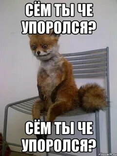 Сей ти