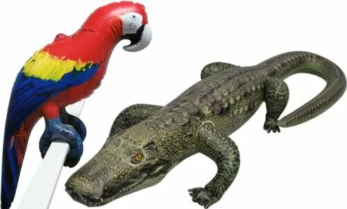 Крокодил попугай. Птица рисунок карандашом цветной экзотический. Крокодилов попугаев. Крокодил попугай. Попуган крокодил.