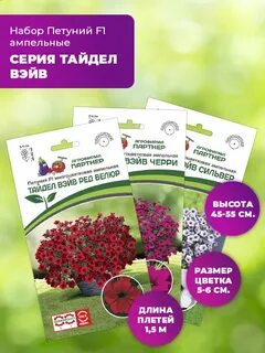 Петунии партнер отзывы