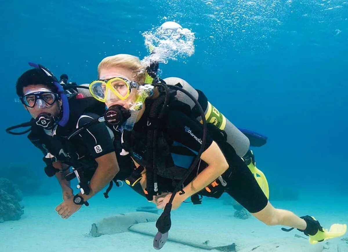 Dive want
