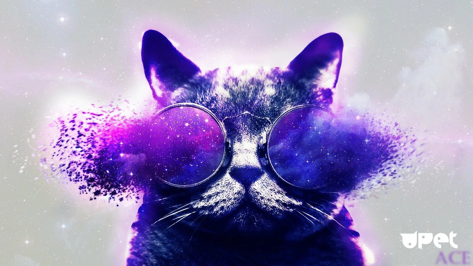 Кот нэп фиолетовый. Кот в очках космос. Крутые коты. Крутые обои. Котик на фиолетовом фоне.