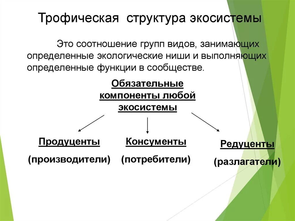 Описание роли в экосистеме. Трофическая структура экологических систем. Экосистема. Трофическая структура экосистем. Функциональная и трофическая структура экосистем. Структура экосистемы продуценты консументы редуценты.